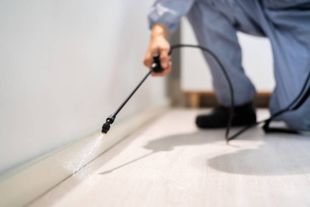 Licensed Fumigation Services service in Dranesville, VA - Nex Pest Control