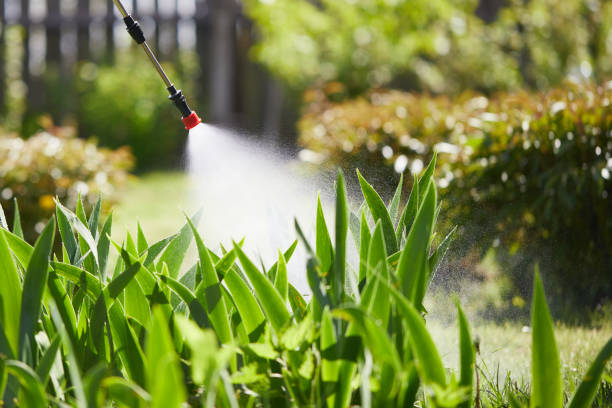 24/7 Emergency Fumigation Services experts in Dranesville, VA