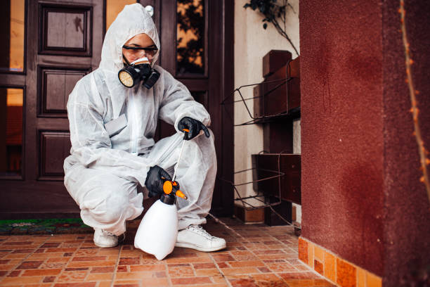 Reliable Fumigation Services contractor in Dranesville, VA by Nex Pest Control