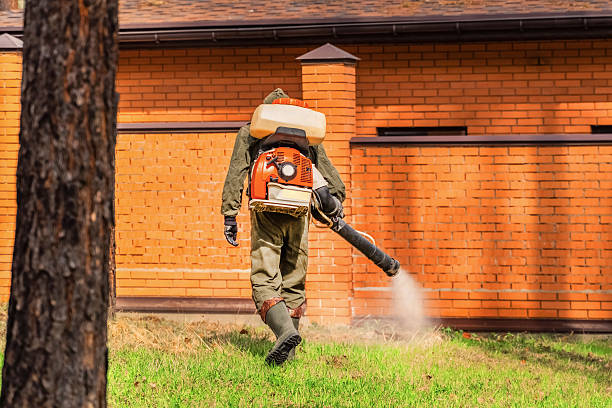 Top rated local Fumigation Services specialists in Dranesville, VA